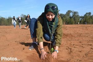 planting-of-a-million-trees